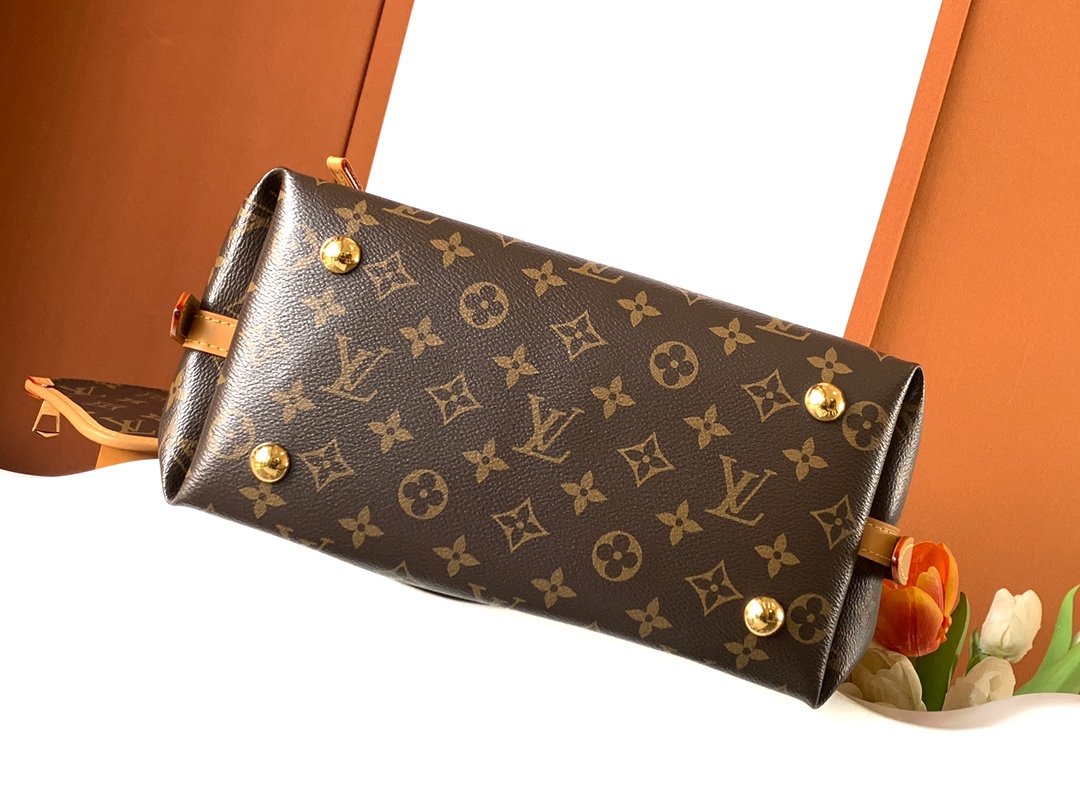 Louis Vuitton CARRYALL小号手袋