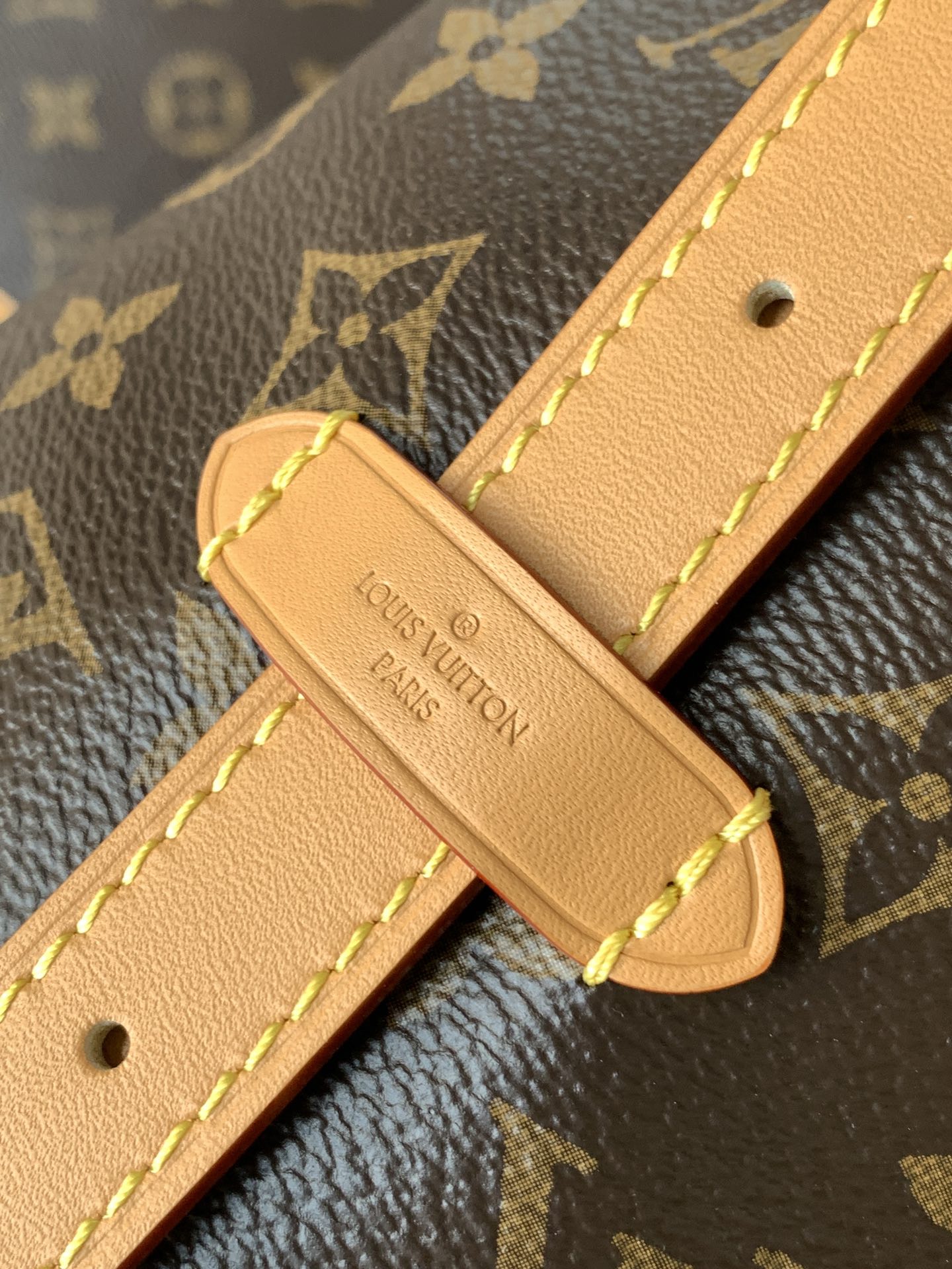 Louis Vuitton CARRYALL小号手袋