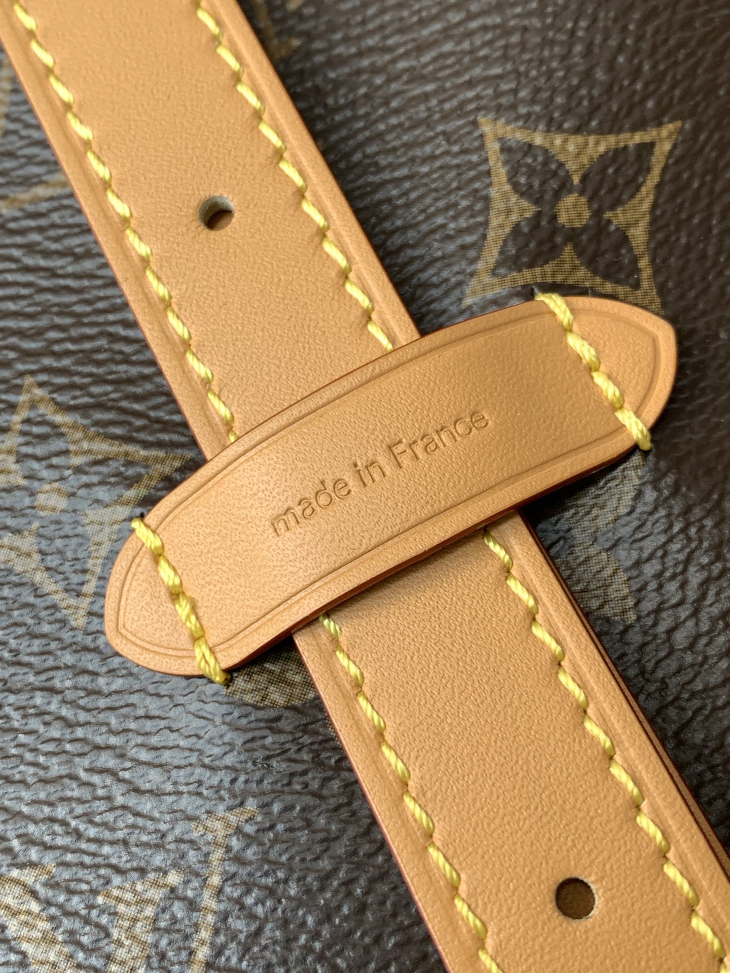 Louis Vuitton CARRYALL小号手袋