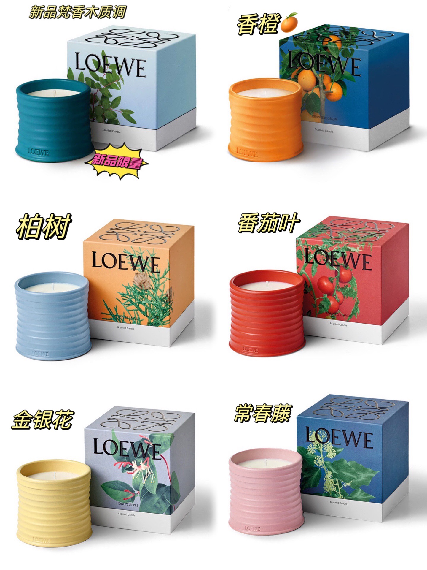 香氛蜡烛+礼盒外包装+Loewe礼袋 2