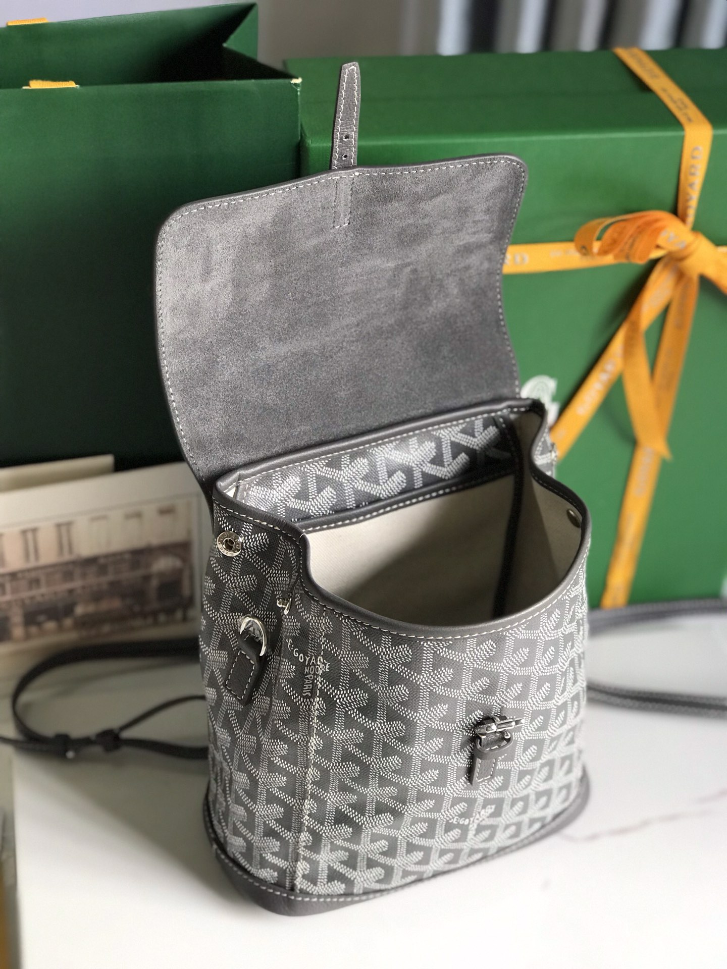 Goya Alpin 双肩包双肩,包 6