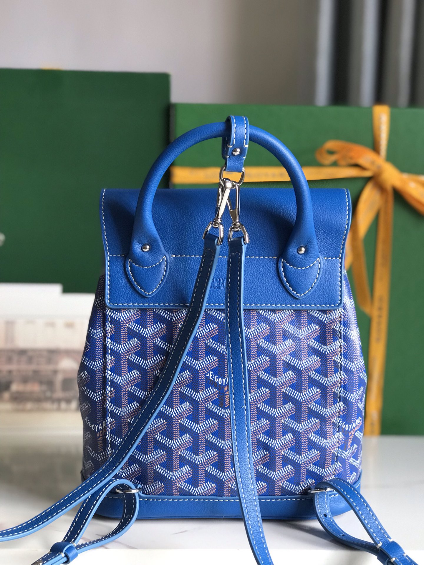 Goya Alpin 双肩包双肩,包 3