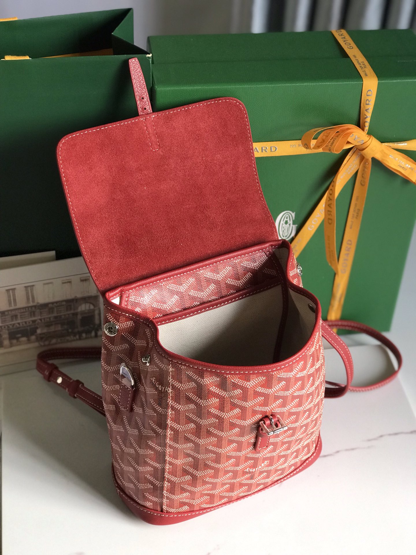 Goya Alpin 双肩包双肩,包 8