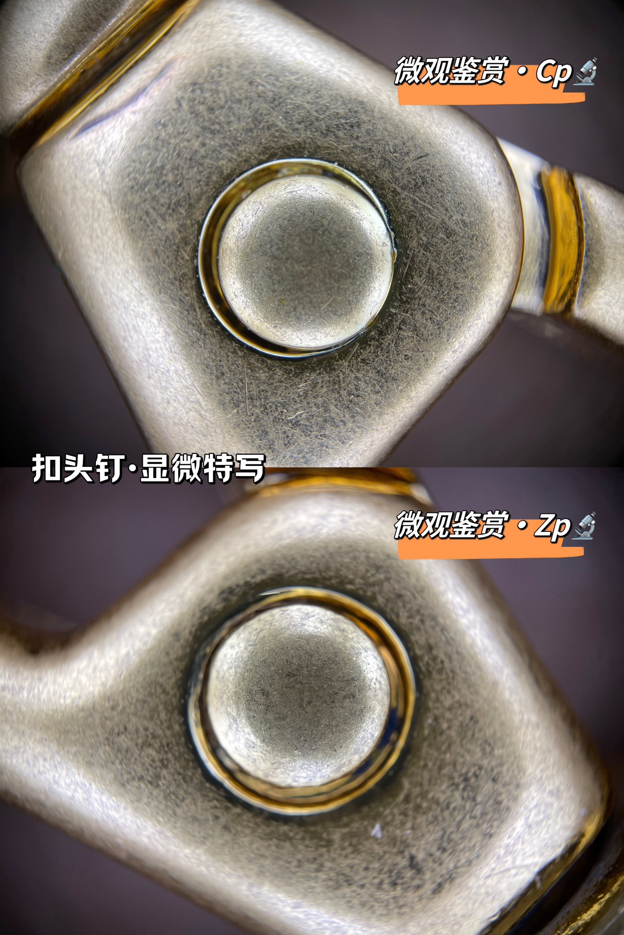 MCM Key pointMicroscope close-up!!!