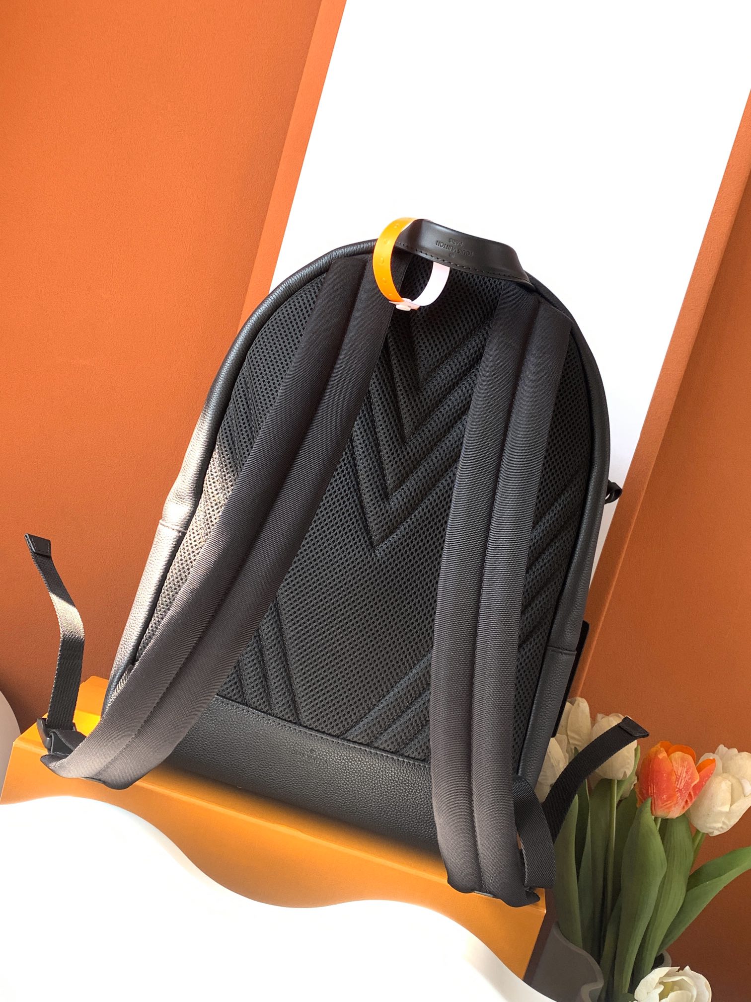 Louis Vuitton LV Aerogram 双肩包