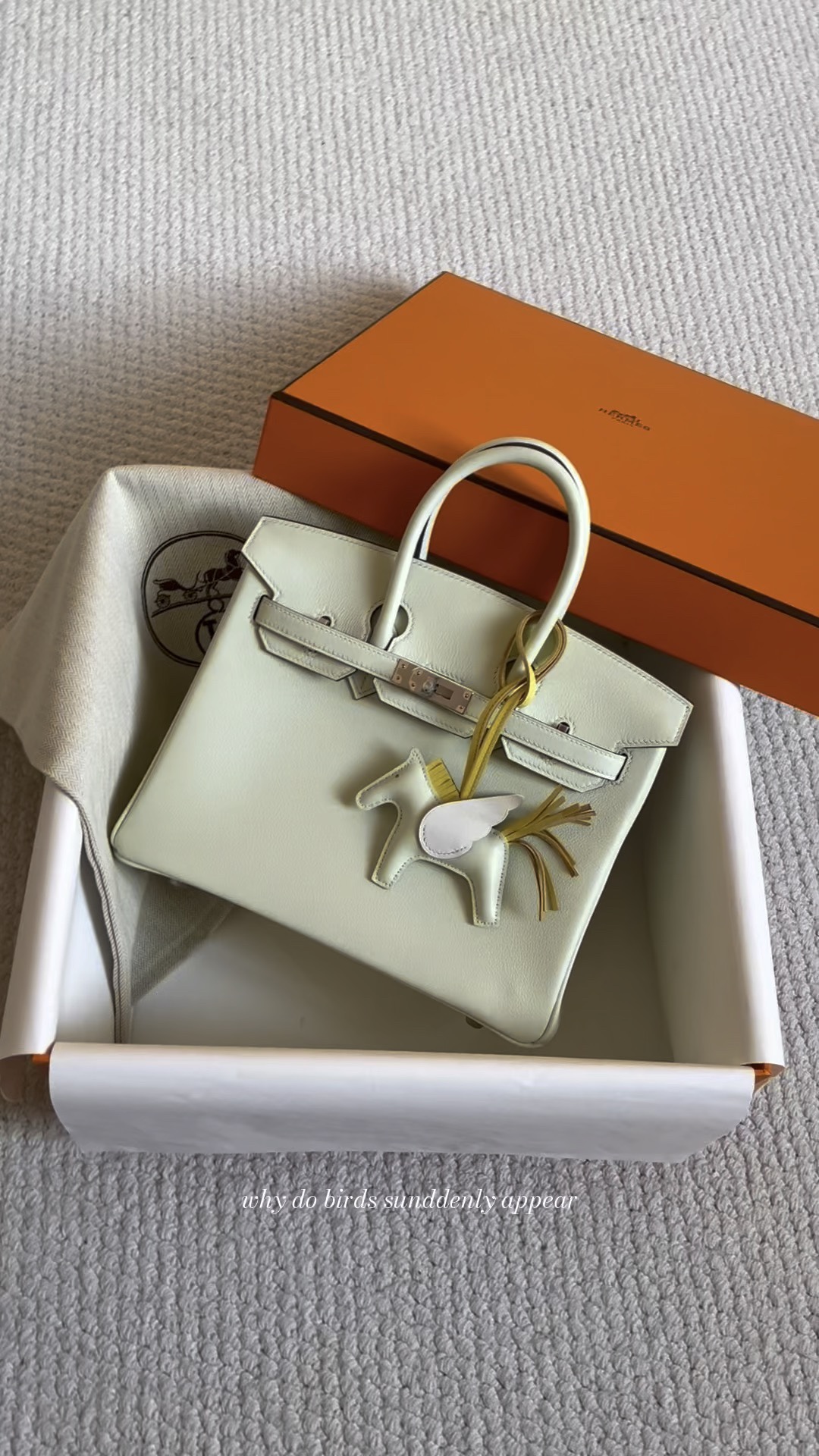 Hermes Birkin Bags Handbags Green Silver Hardware