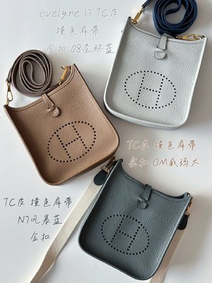 Hermes Evelyne Crossbody & Shoulder Bags Gold Hardware YF170118