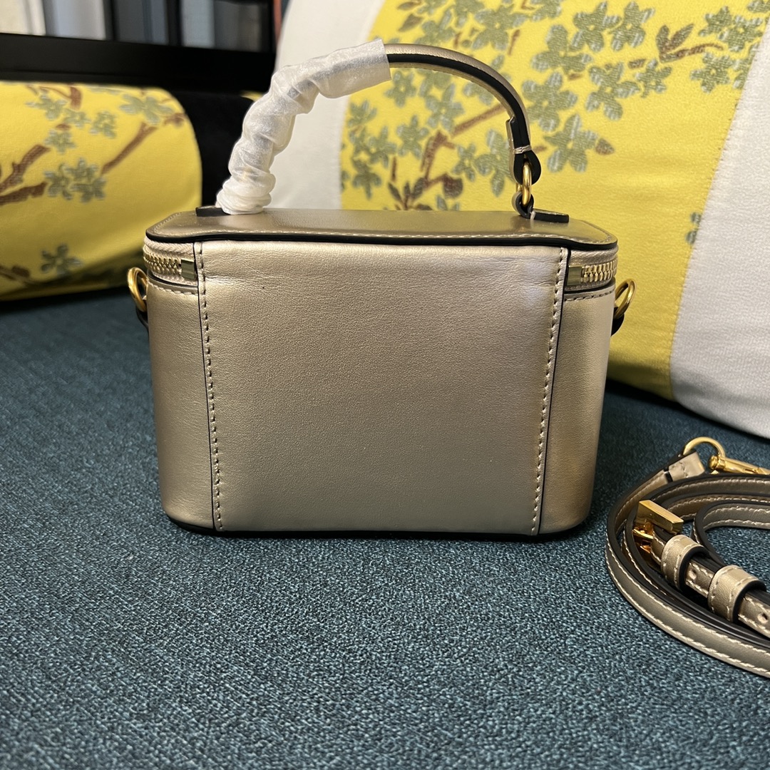 Celine Luxury Handbag Collection 6