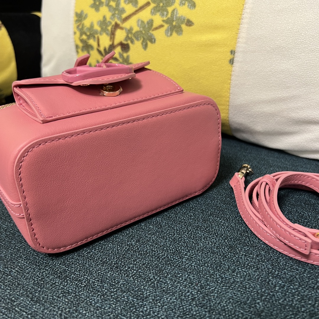 Celine Luxury Handbag Collection 5