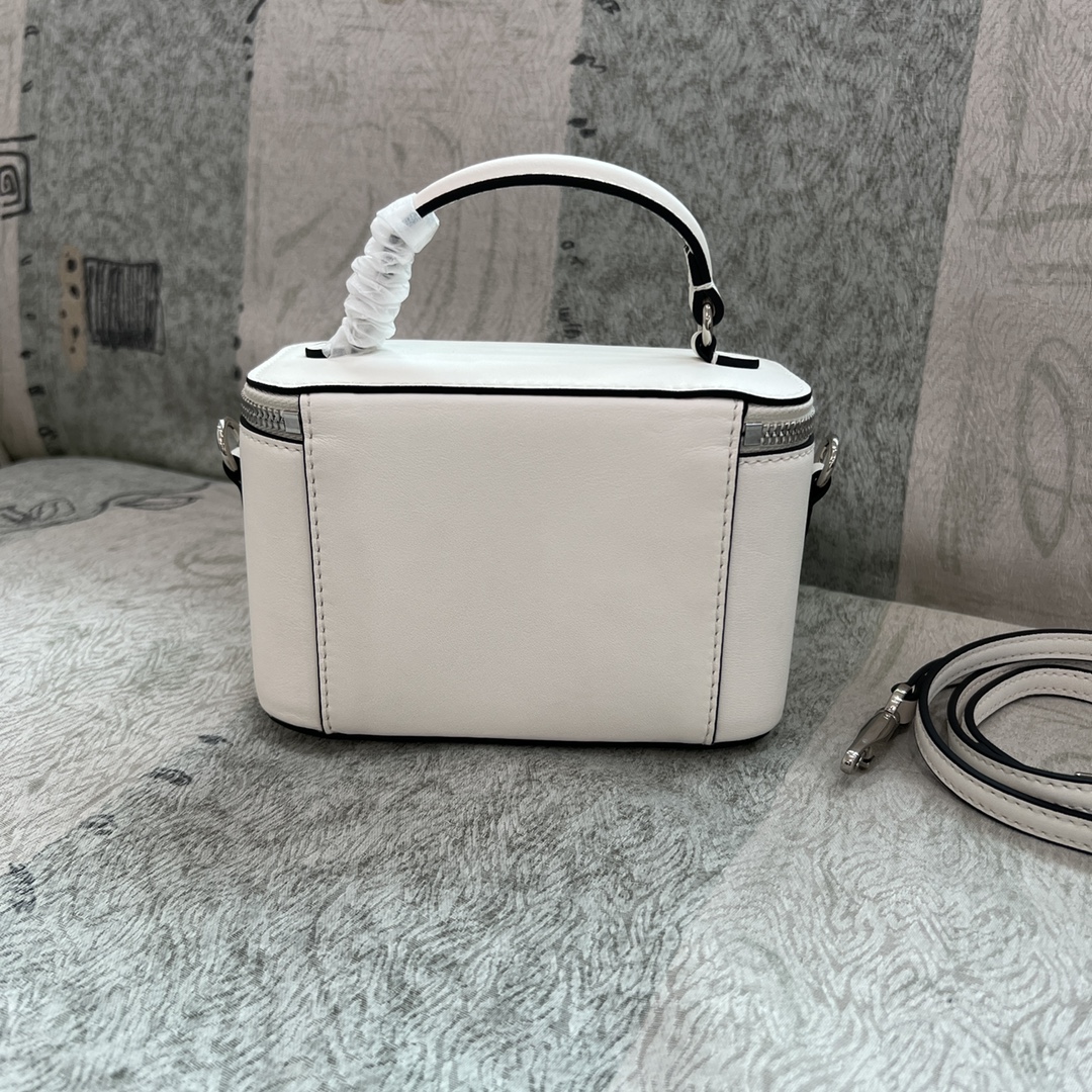 Celine Luxury Handbag Collection 6