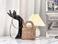 Dior Lady Handbags Crossbody & Shoulder Bags Sheepskin M49535