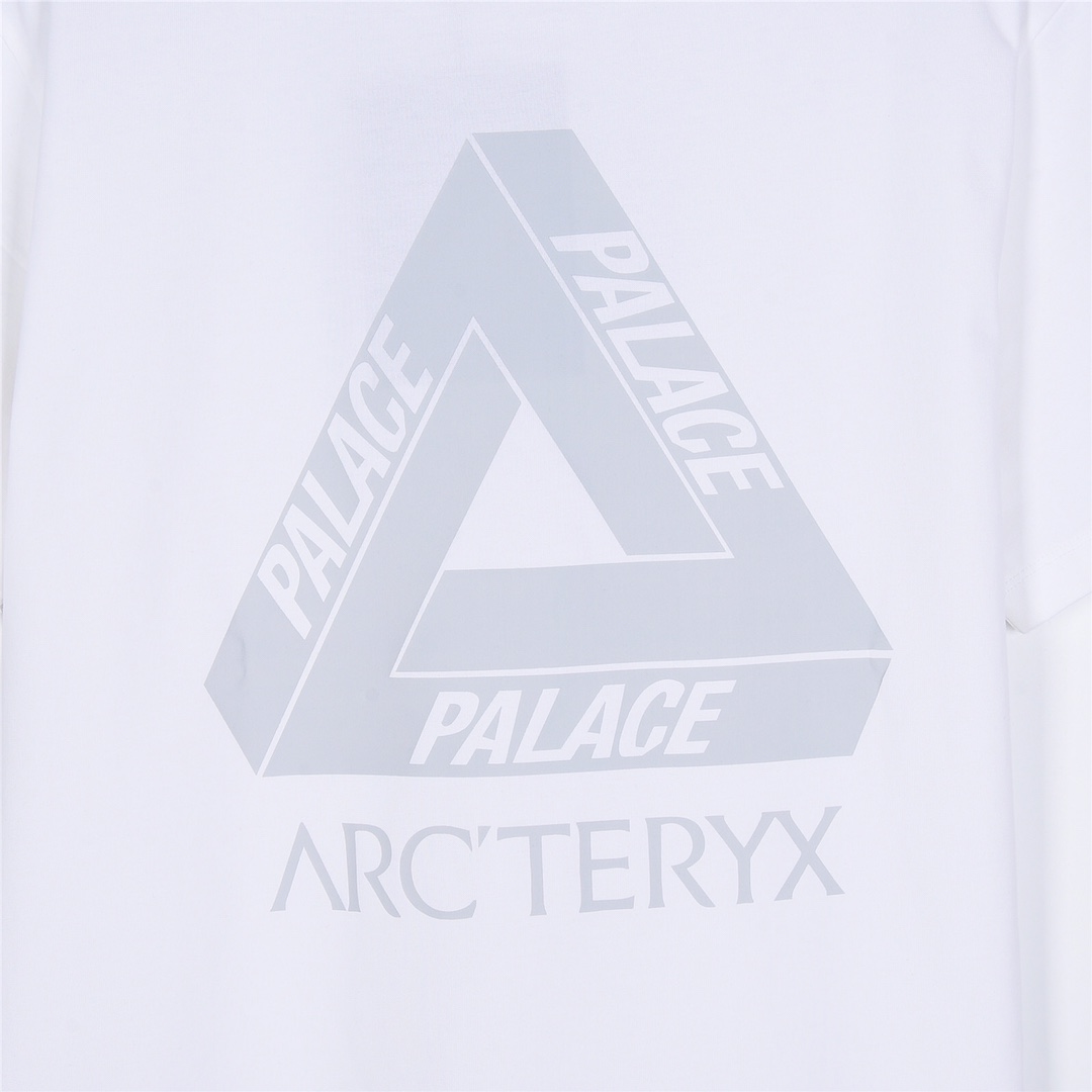 ARC’TERYX始祖鸟联名Palace 24ss新款前后印花短袖