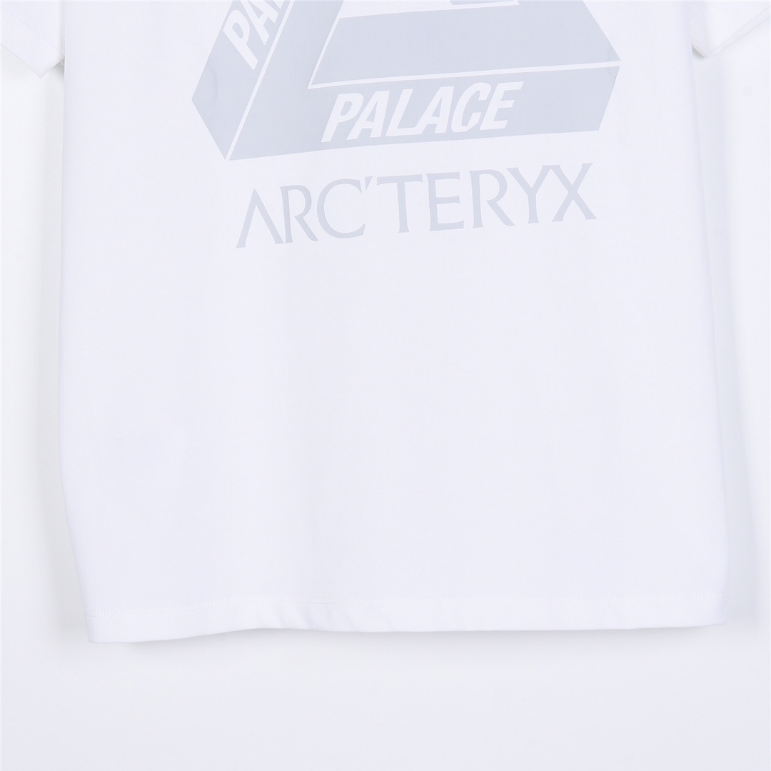 ARC’TERYX始祖鸟联名Palace 24ss新款前后印花短袖