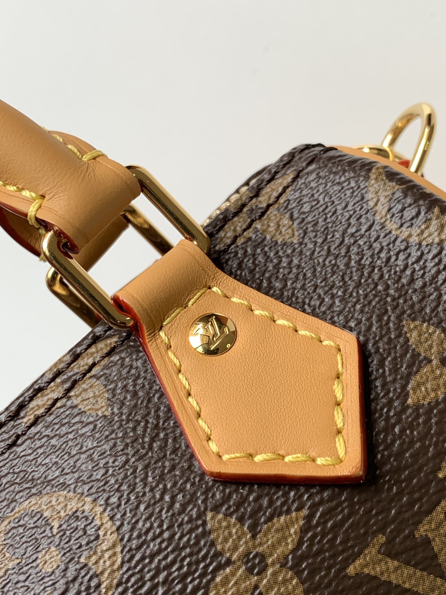 Louis Vuitton Nano Speedy手袋