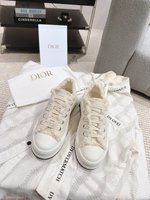 Dior Sneakers Canvas Shoes Embroidery Canvas Cotton Rubber Sheepskin TPU Oblique Casual
