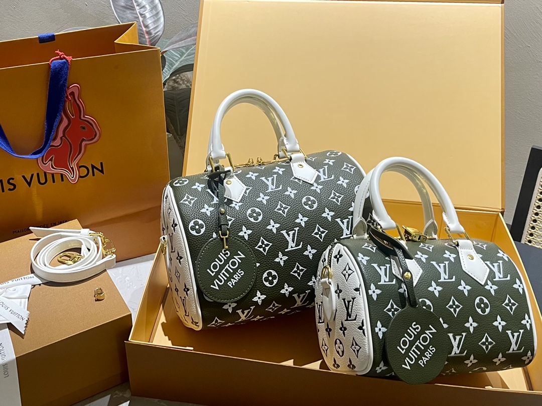Louis Vuitton LV Speedy Bags Handbags