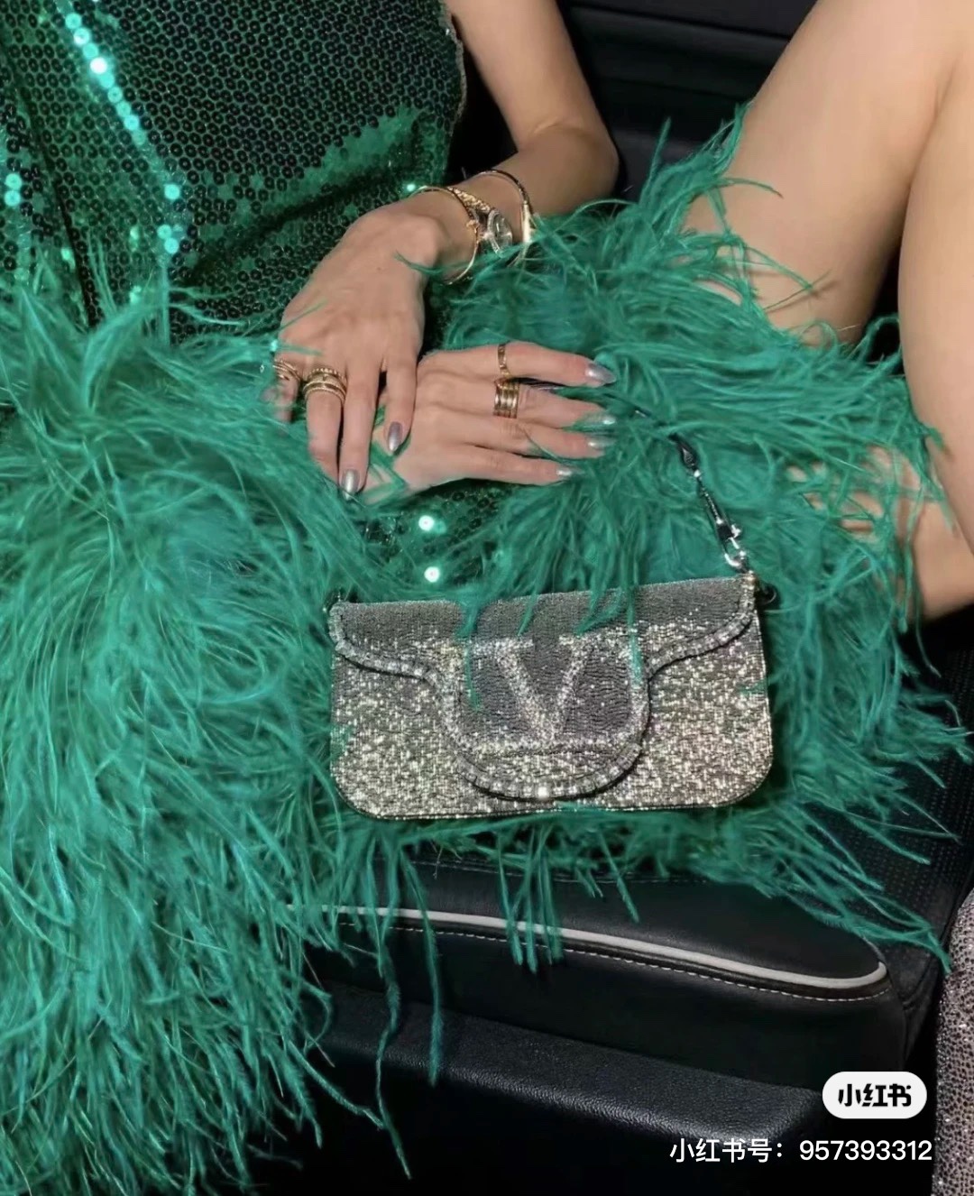 Valentino Upper body picture