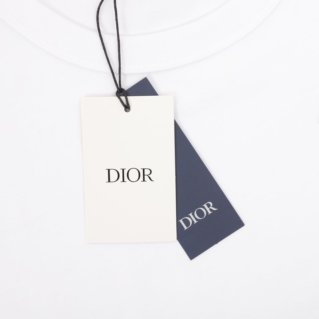 DIOR/迪奥 彩色斜字圆领短袖