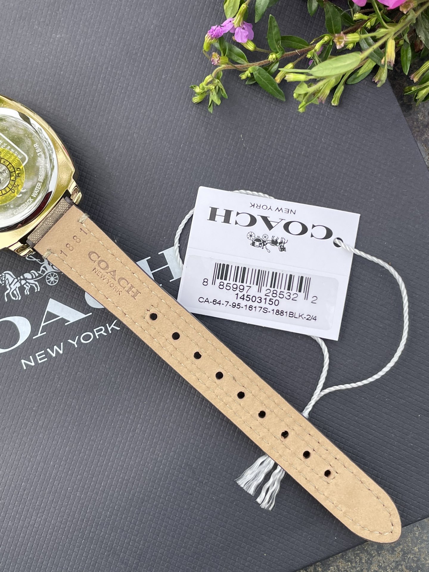 批💰190配盒
现货秒发🔥蔻驰新款时尚简约气质高雅轻奢镶钻方形三针女士石英腕表 多款选择！30米生活防水 尺寸：34MM。配专柜全套包装. 宝宝们可力推请认准独家品质！秒杀所有市场货！支持任何方式验货！欢迎各位老板甩单🌹🌹🌹