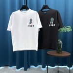 Dior Ropa Camiseta Impresión Universal para hombres y mujeres Manga corta