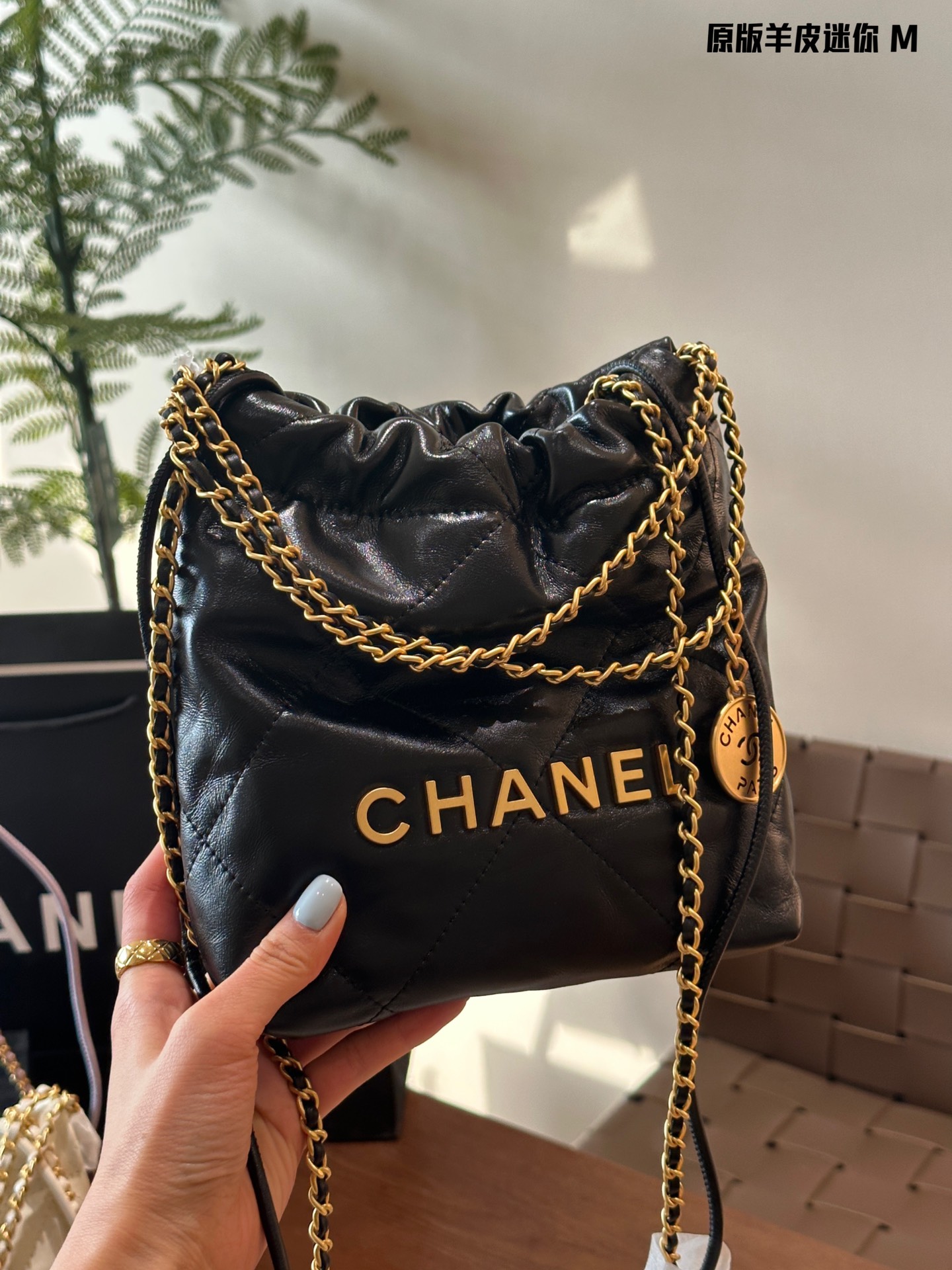 Chanel Crossbody & Shoulder Bags Sheepskin Mini