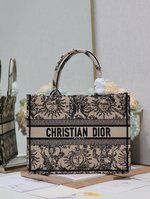 Dior Book Tote Handbags Tote Bags Brown Embroidery Fashion