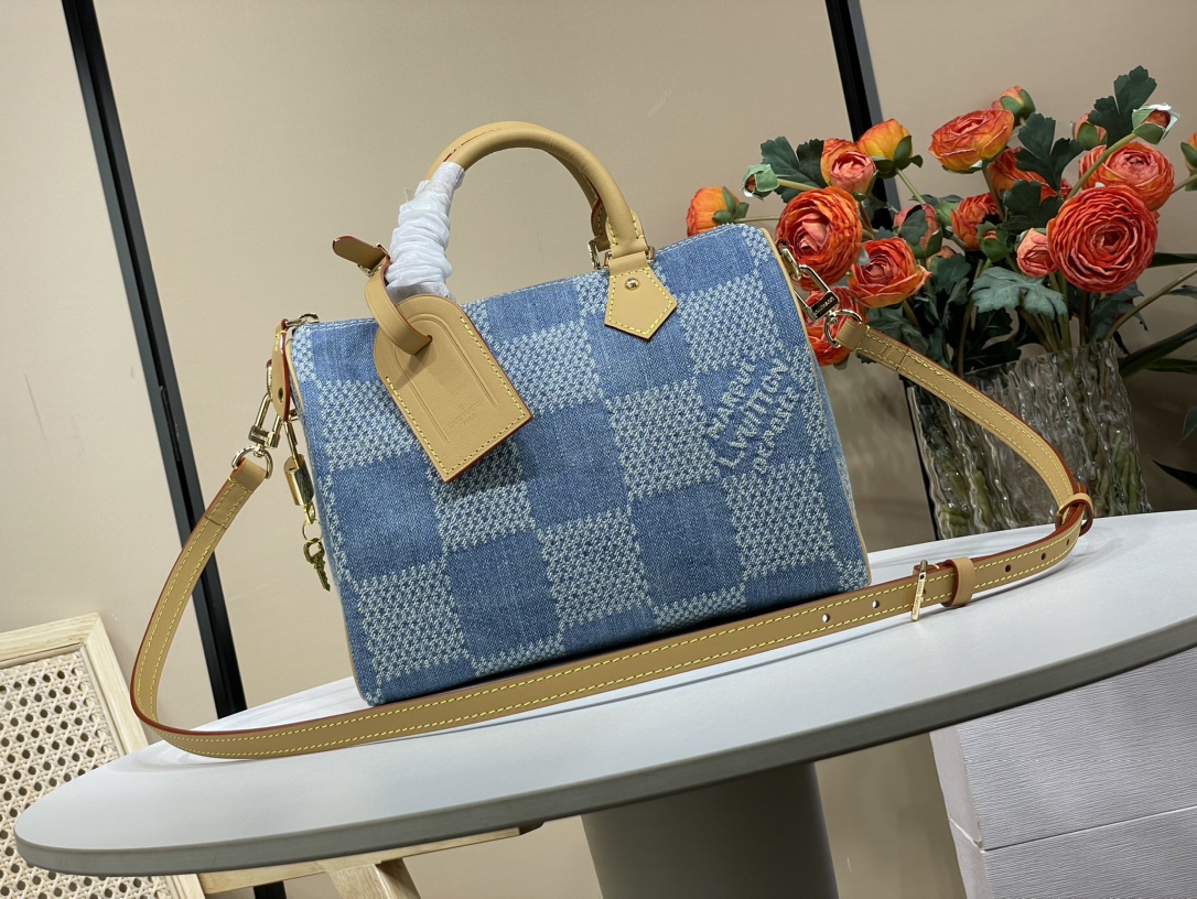 Louis Vuitton LV Speedy Tassen handtassen Blauw Gitter Fashion N40700