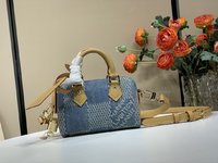 Louis Vuitton LV Speedy spiegelkwaliteit
 Tassen handtassen Blauw Gitter Fashion N40682