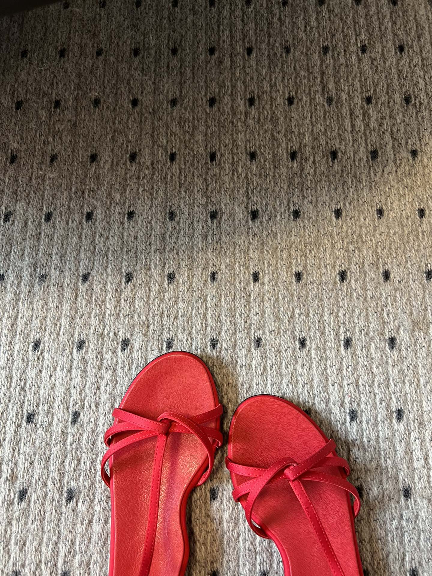 
COTEMP·24/ 春夏绝美凉鞋

Regalo细带凉鞋 这个品牌的鞋真的很难不爱
超精致百搭 夏季