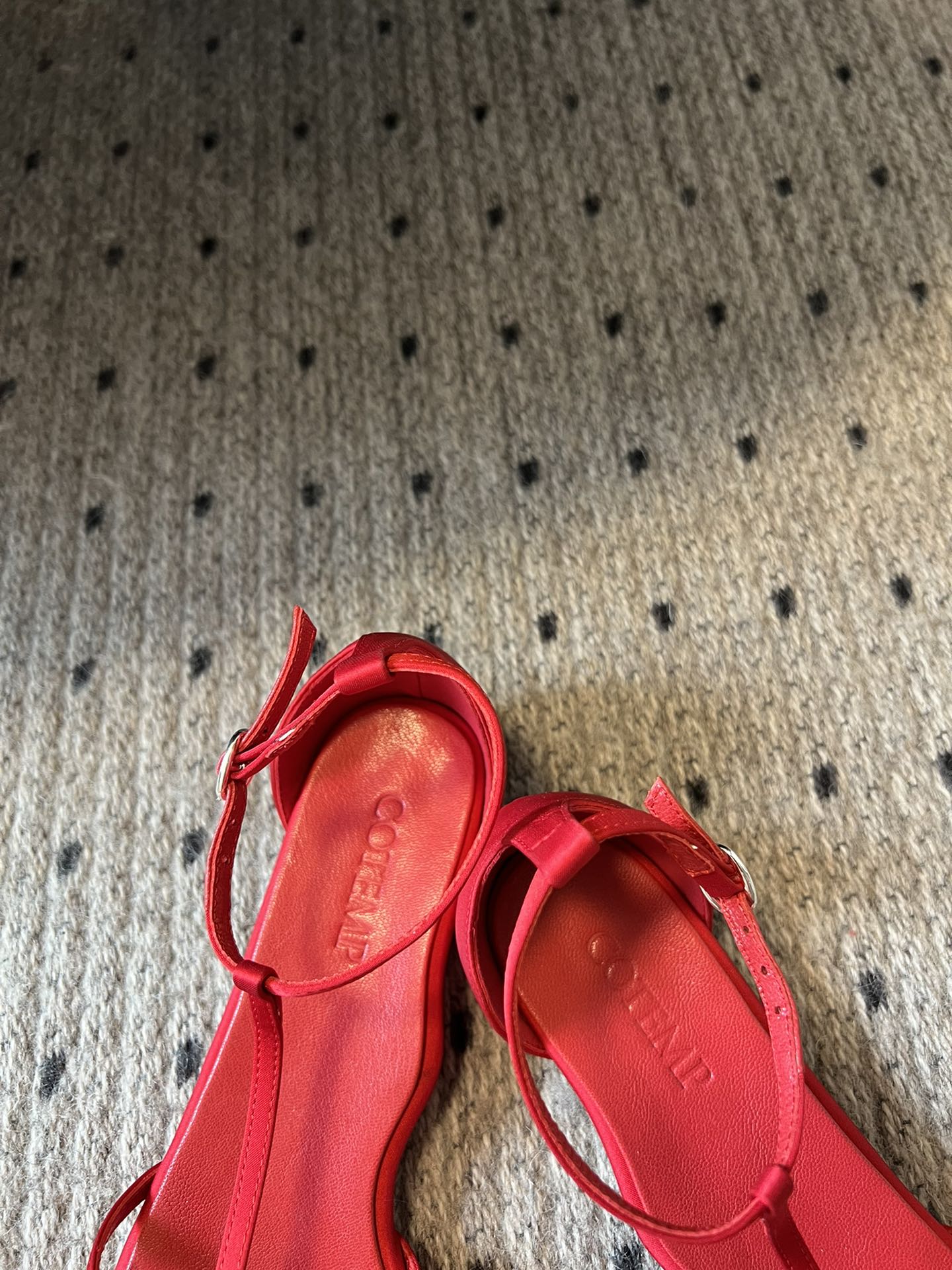 
COTEMP·24/ 春夏绝美凉鞋

Regalo细带凉鞋 这个品牌的鞋真的很难不爱
超精致百搭 夏季