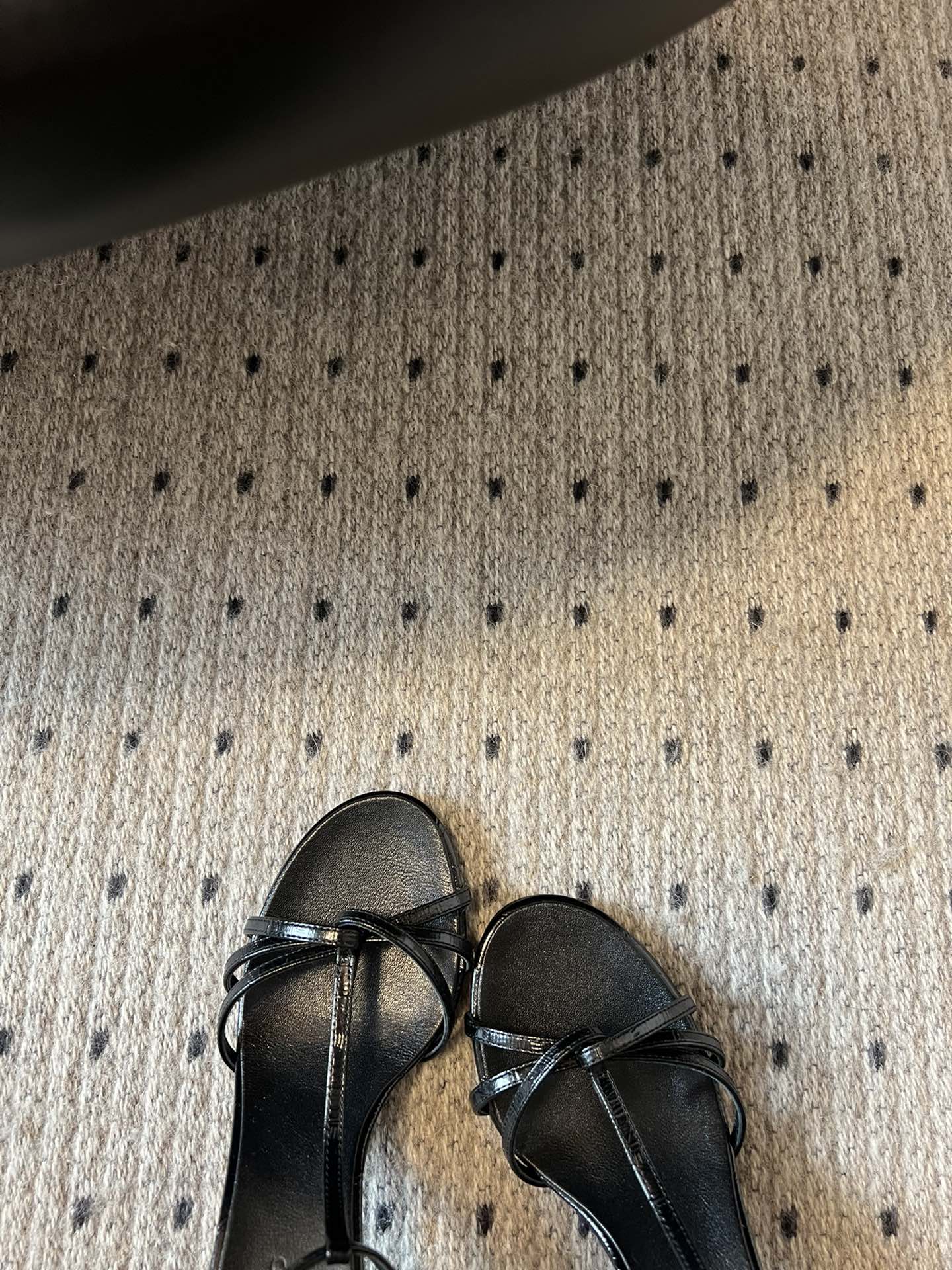 
COTEMP·24/ 春夏绝美凉鞋

Regalo细带凉鞋 这个品牌的鞋真的很难不爱
超精致百搭 夏季
