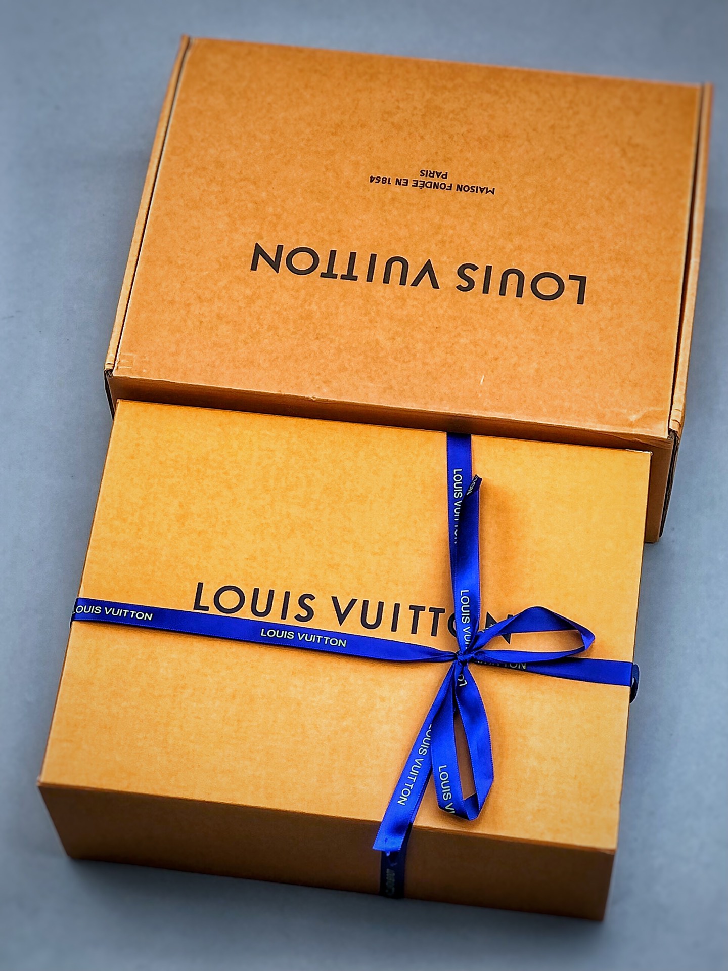 700  LOUIS VUITTON Trainer LV 路易威登