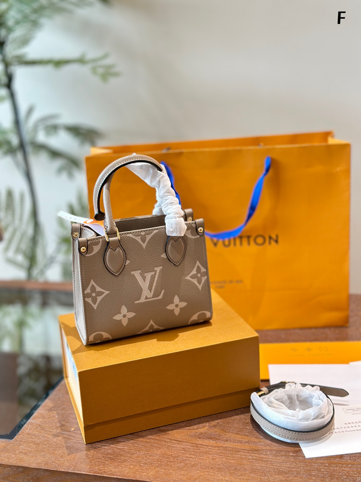 Louis Vuitton LV Onthego Tote Bags Mini