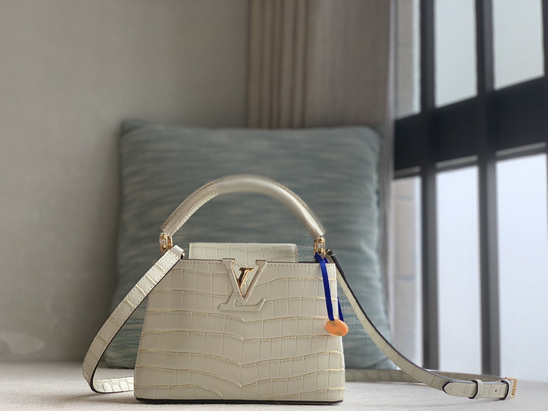 Louis Vuitton LV CAPUCINES