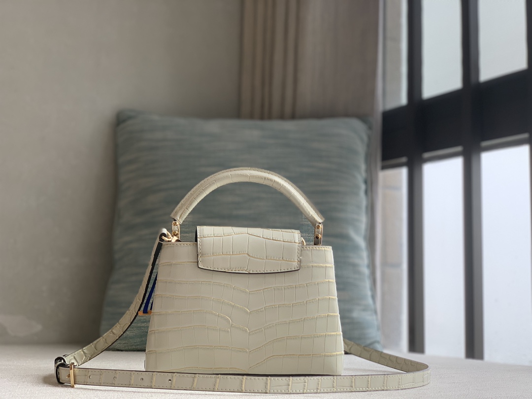 Louis Vuitton LV CAPUCINES