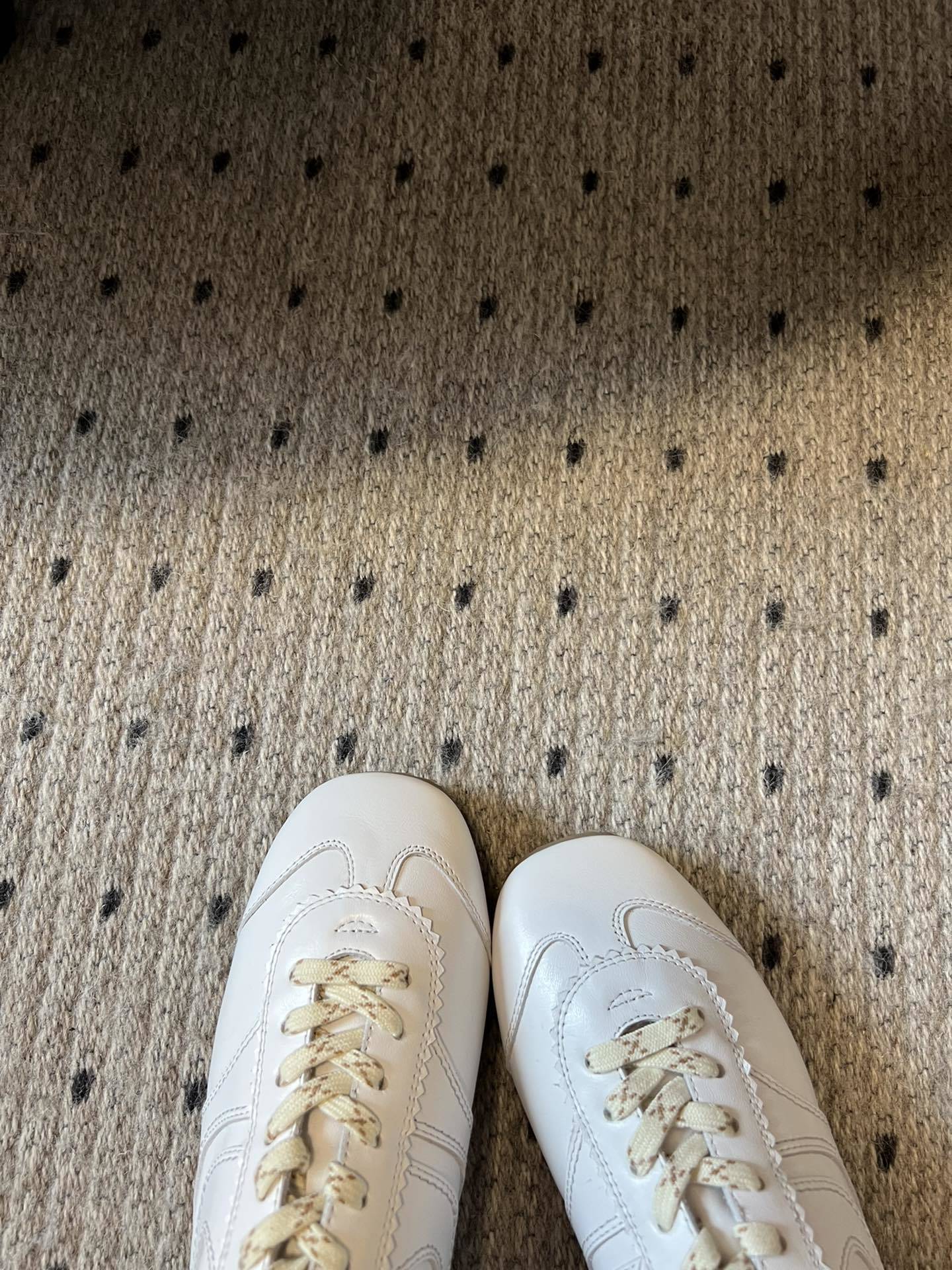 代购级小众 Dries Van Noten·DVN 复古德训鞋
dvn的德训鞋也太美了吧 drie