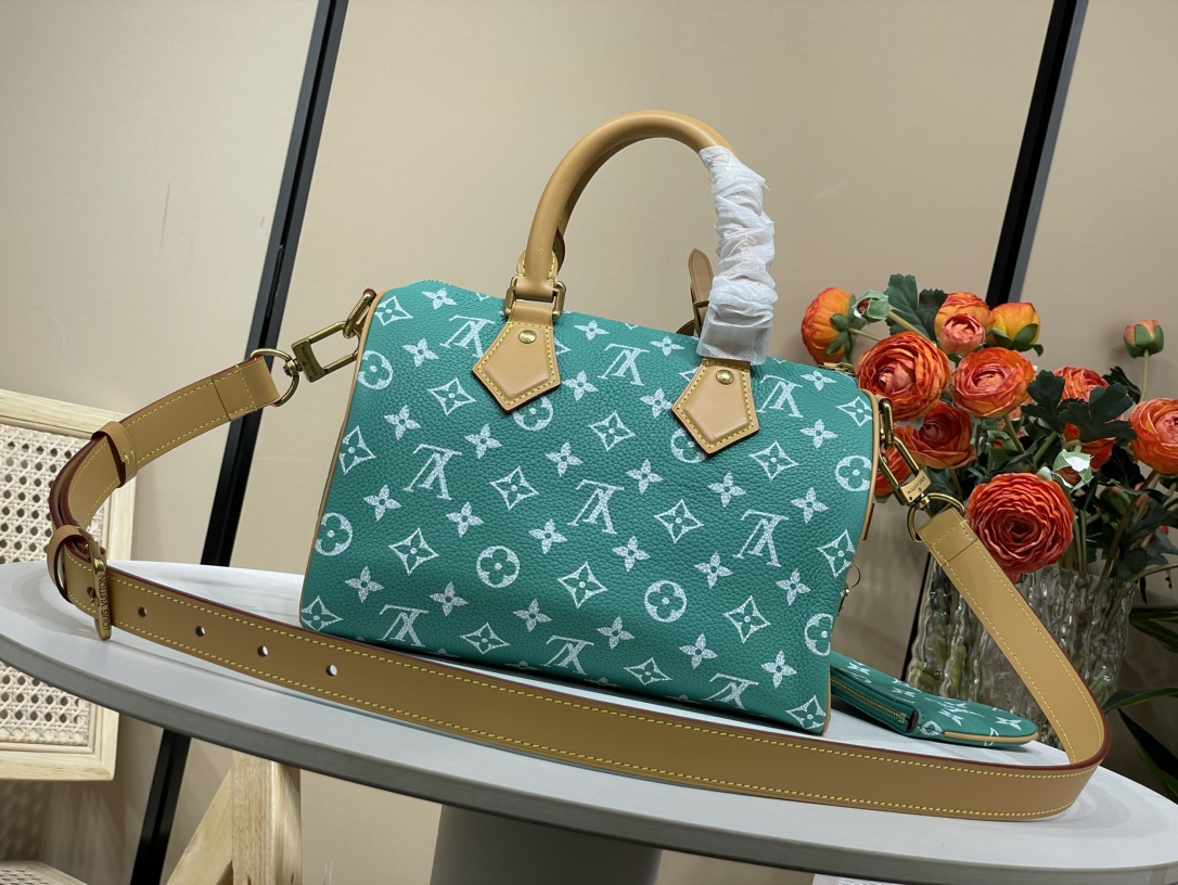 Louis Vuitton Rare matching counter goods [SPEEDY P9 BANDOULIERE25 handbag] M11561 lake green