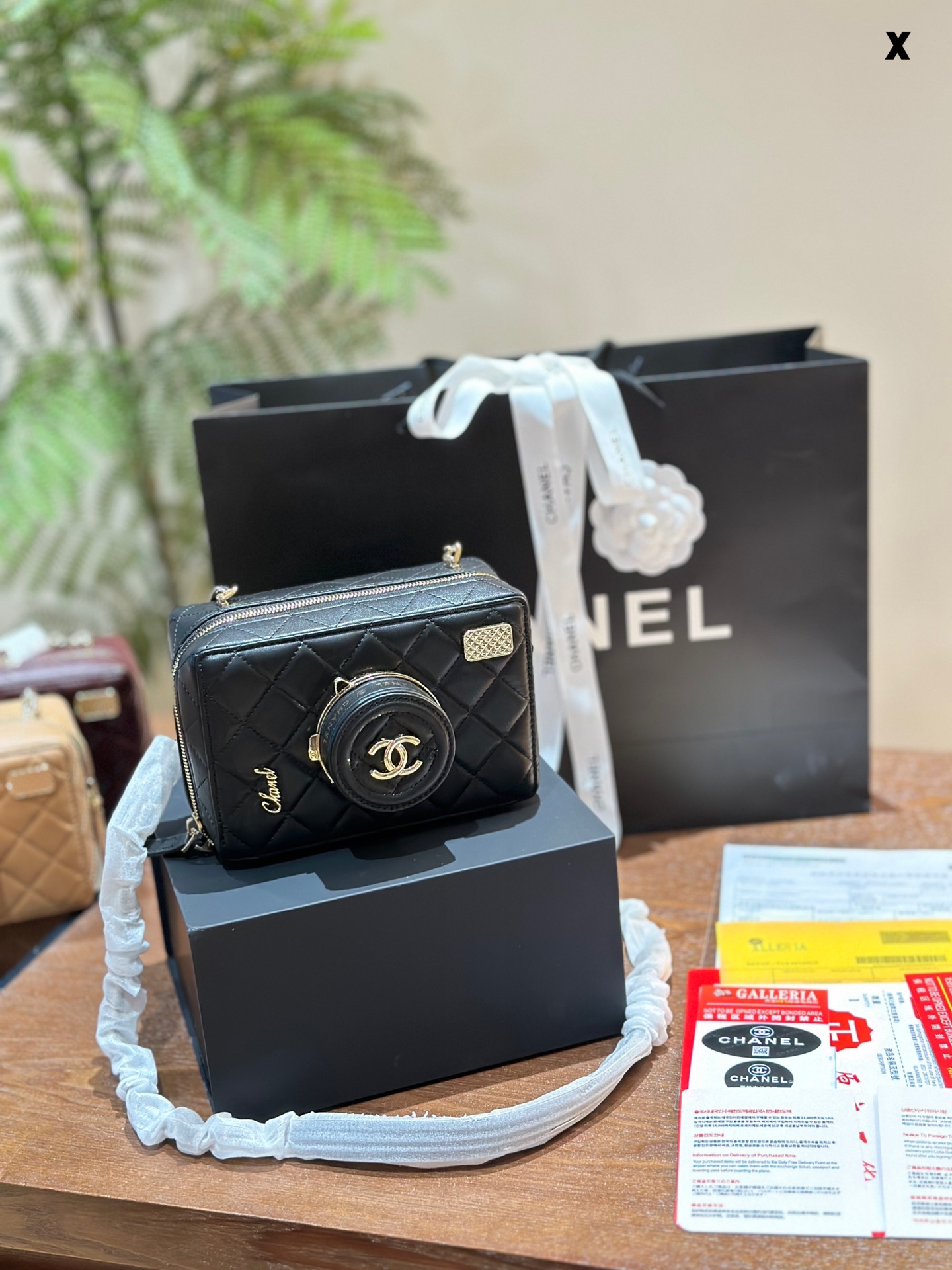 Chanel Camera Bags