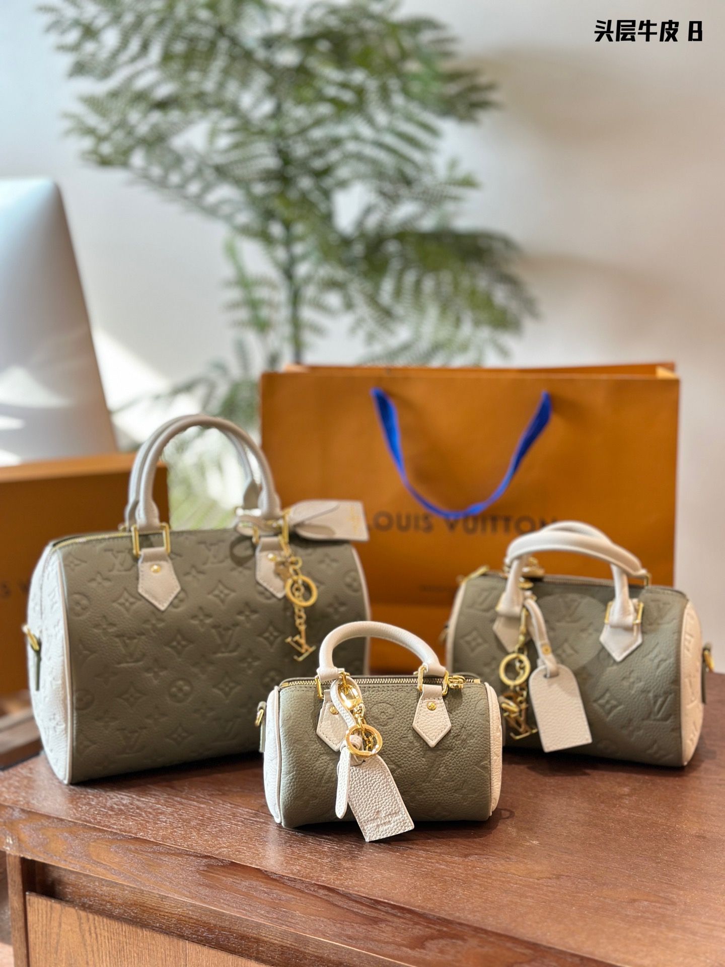 Louis Vuitton LV Speedy Good
 Bags Handbags Cowhide Chains