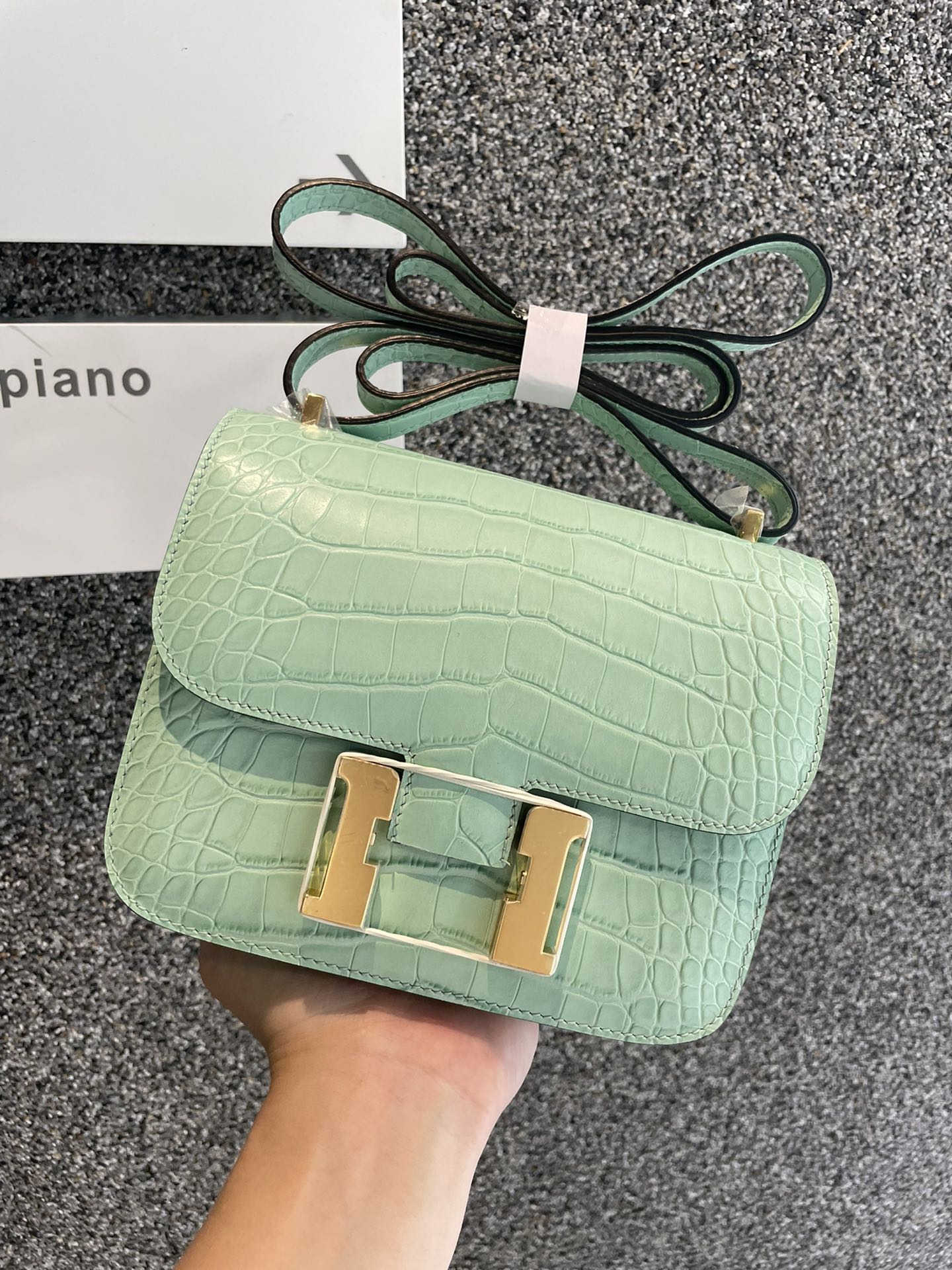 Constance 18cm Crocodile Embossed Leather Shoulder Bag with Gold Hardware 1 i1716964740 3512 0