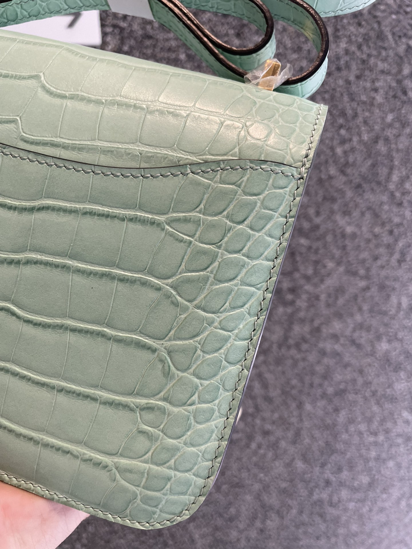 Constance 18cm Crocodile Embossed Leather Shoulder Bag with Gold Hardware 5 i1716964740 6213 4
