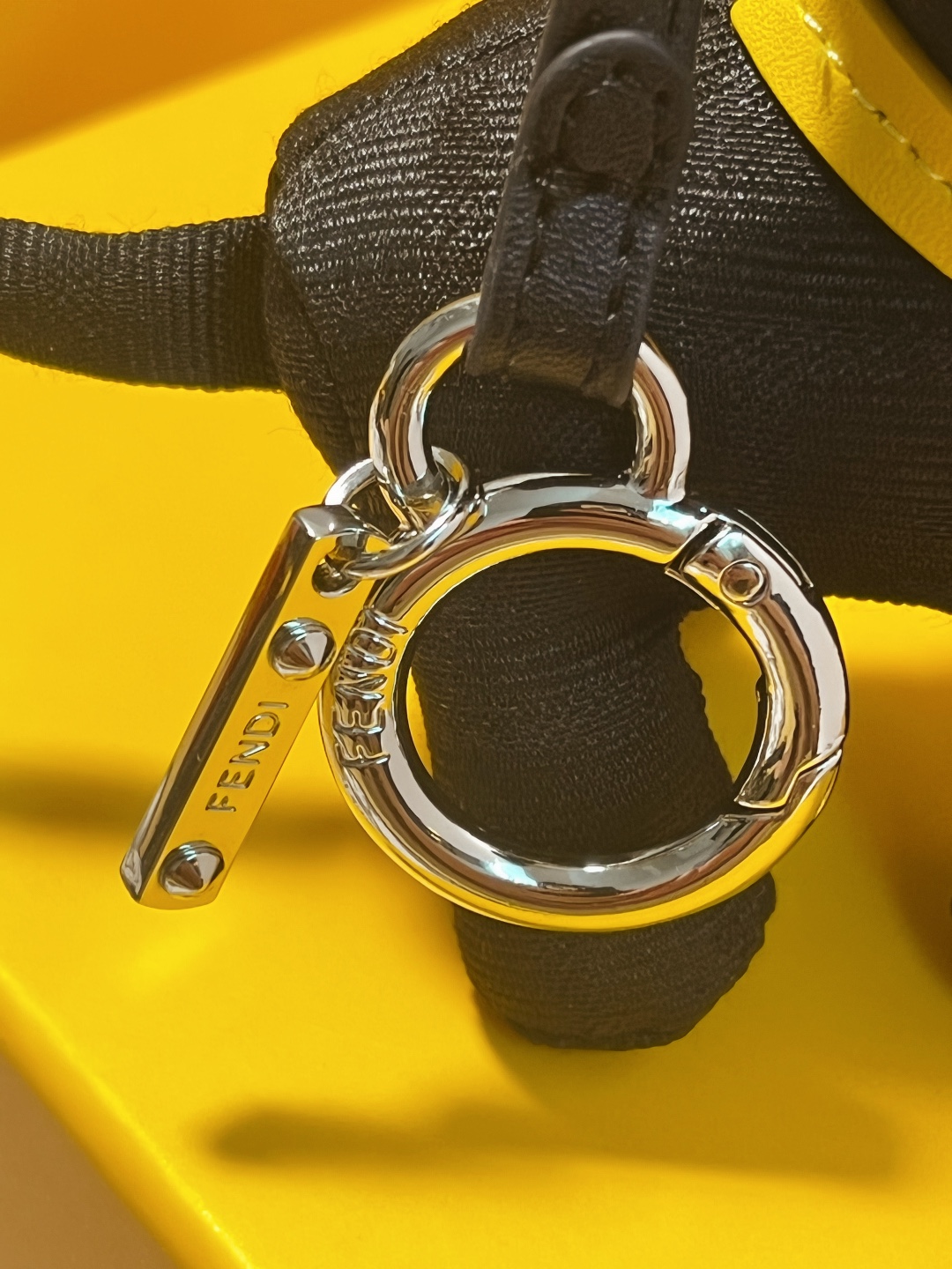 F147: Unique Dog Pack Art with Imported Steel Hardware and FENDI Sticker - 图片 5