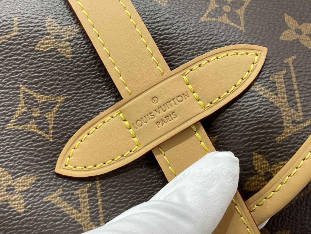 Louis Vuitton Saumur 手袋lv,包,女 4