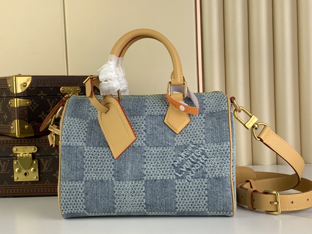 Louis Vuitton LV Speedy Taschen Handtaschen Blau Gitter Baumwolle Fashion N40700