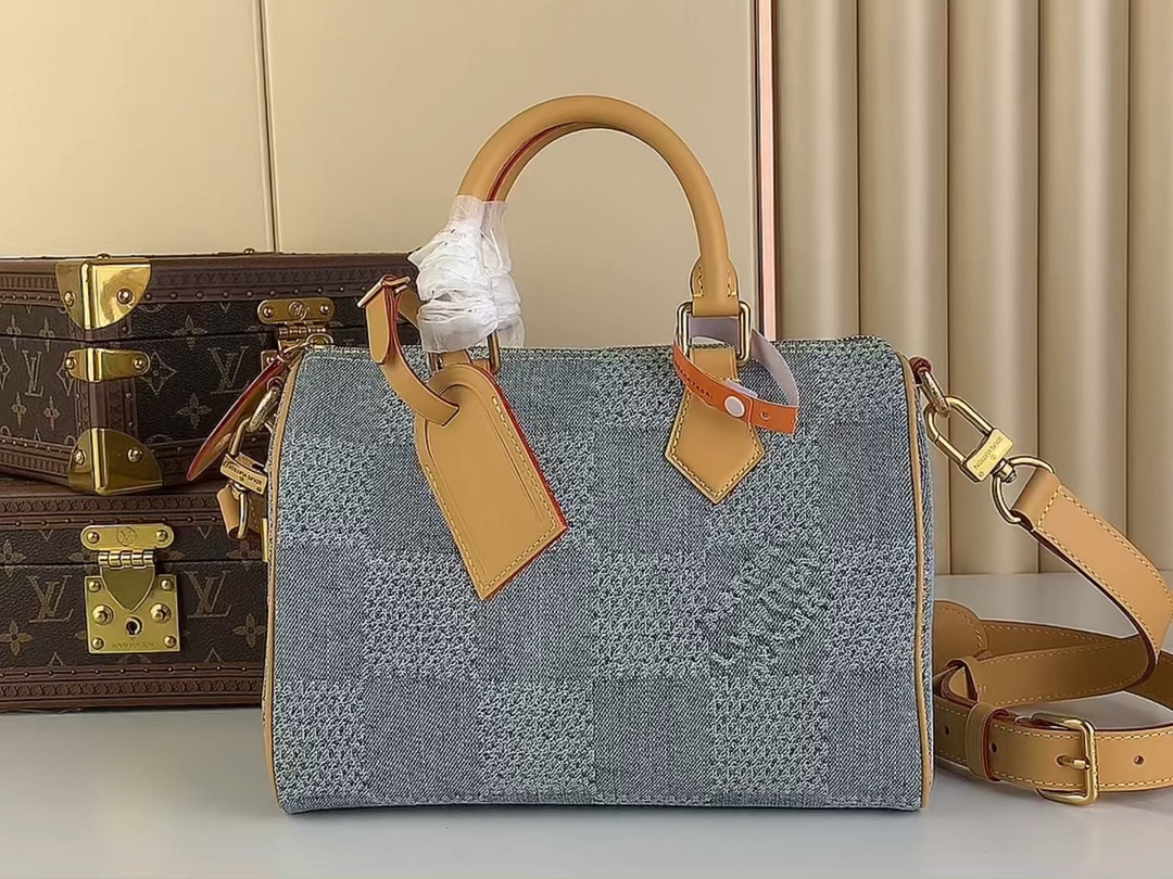 Louis Vuitton LV Speedy Taschen Handtaschen Kaufen 1: 1
 Blau Gitter N40700