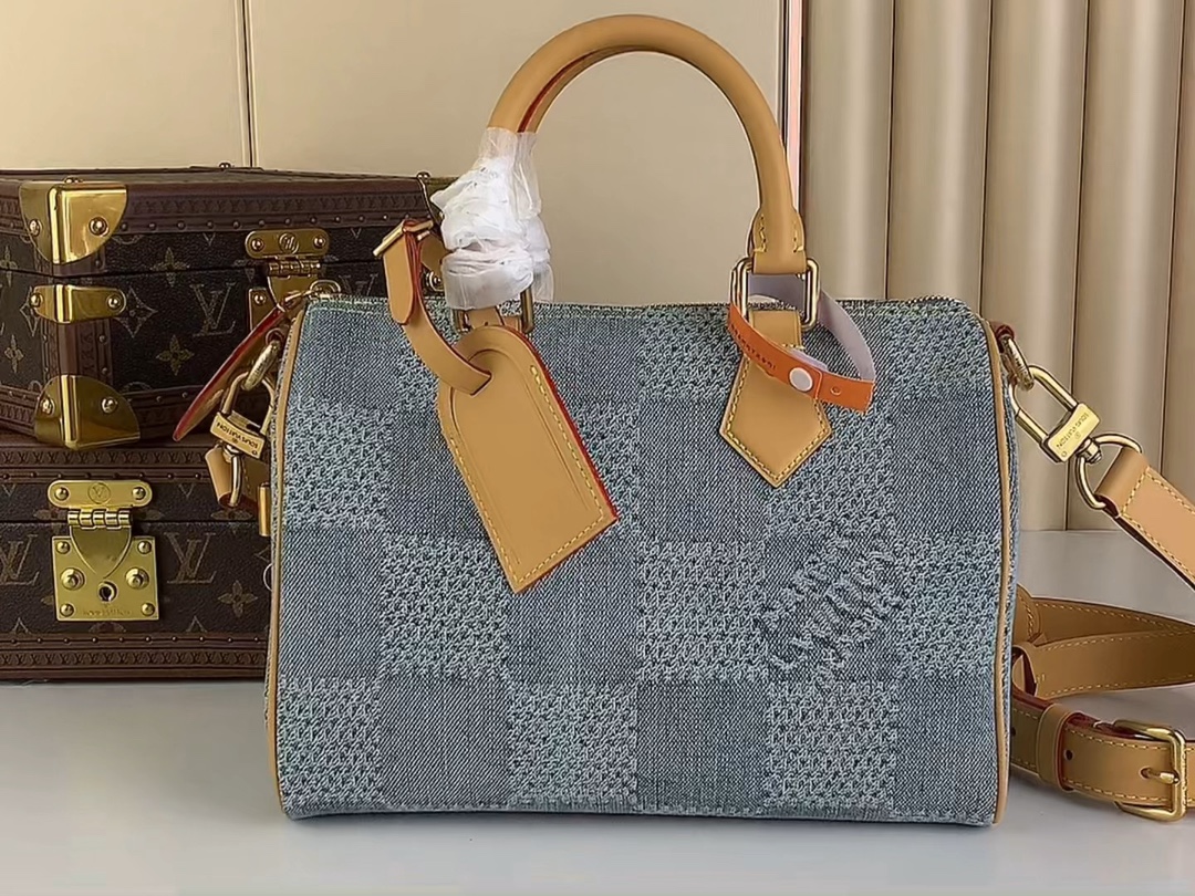 Louis Vuitton LV Speedy Taschen Handtaschen Neue Designer -Replik
 Blau Gitter N40700