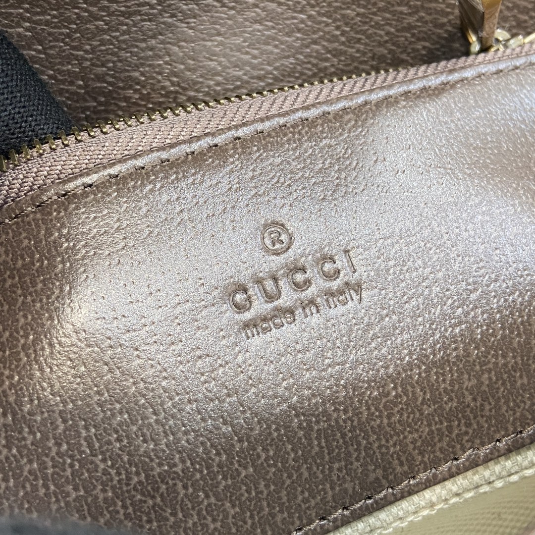 Gucci Ophidia Mini Shoulder Bag, Brown PVC, 18.5cm - Style & Function 10 i1717419812 269 8