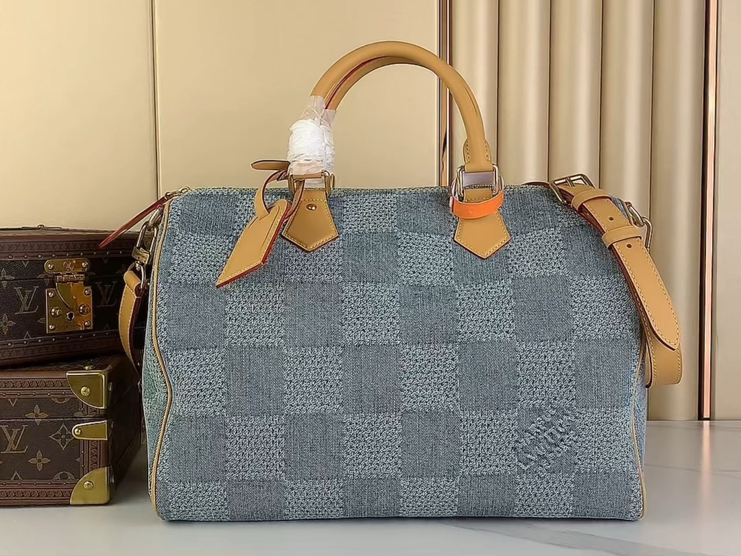Louis Vuitton LV Speedy Taschen Handtaschen Blau Gitter N40701