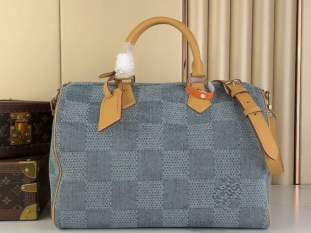 Louis Vuitton LV Speedy Taschen Handtaschen Blau Gitter N40701