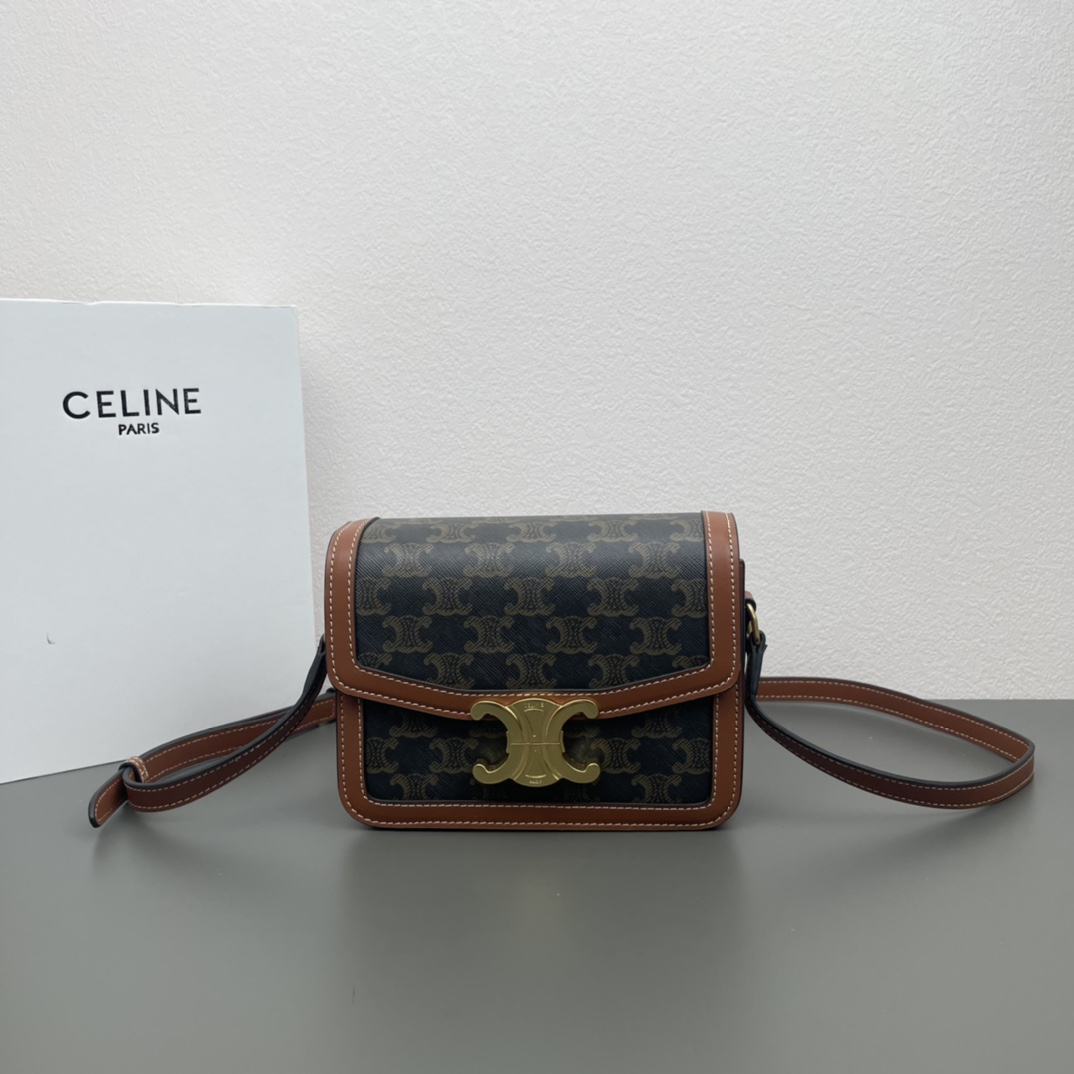 Celine Bags Handbags Gold Calfskin Canvas Cowhide Triomphe